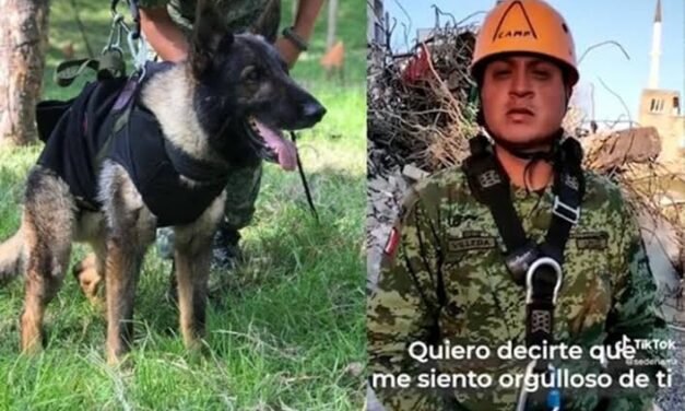 NOS VOLVEREMOS A VER: SE DESPIDE ENTRENADOR DE ‘PROTEO’, ES PERRO RESCATISTA