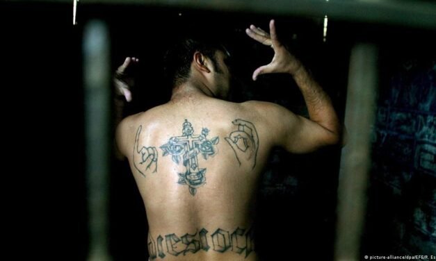 MIEMBROS DE LA MS-13 TUVIERON OPERACIONES CON CÁRTELES