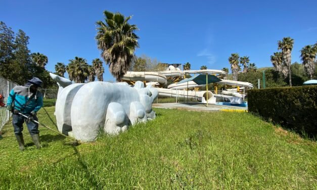 TRABAJOS DE MANTENIMIENTO EN ÁREA ACUÁTICA DEL PARQUE MORELOS