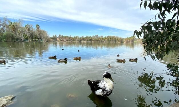 CONTINÚAN ABIERTOS PARQUES DE LA AMISTAD Y MORELOS ESTOS DÍAS DE ASUETO POR SEMANA SANTA