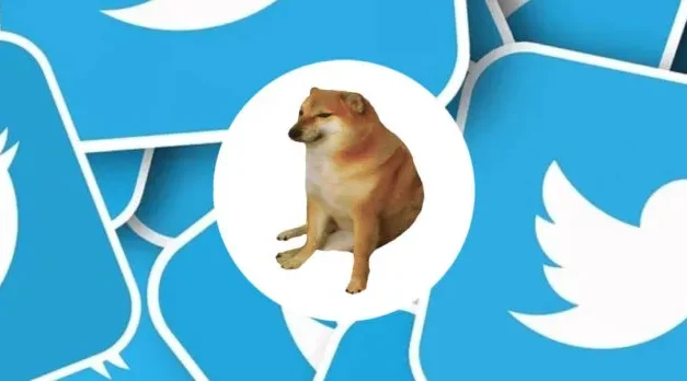 ELON MUSK CAMBIO LOGO DE TWITTER