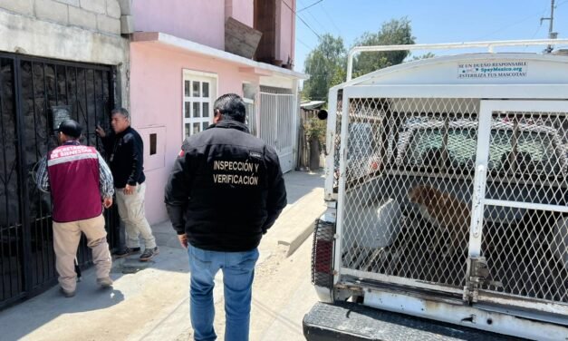 RESCATA AYUNTAMIENTO DE TIJUANA DOCENA DE PERROS EN CONDICIONES PRECARIAS