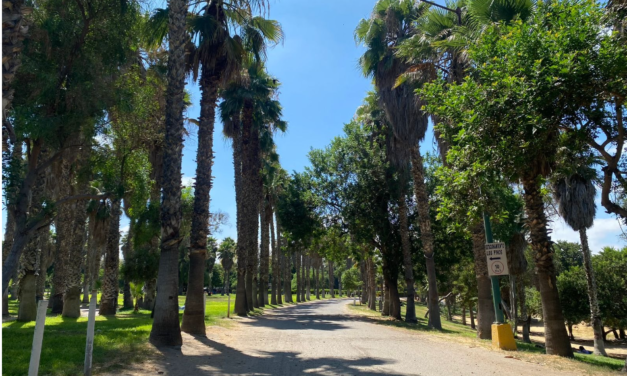 PARQUES MORELOS, DE LA AMISTAD Y SAUCES CERRARÁN LOS MIÉRCOLES PARA SU MANTENIMIENTO