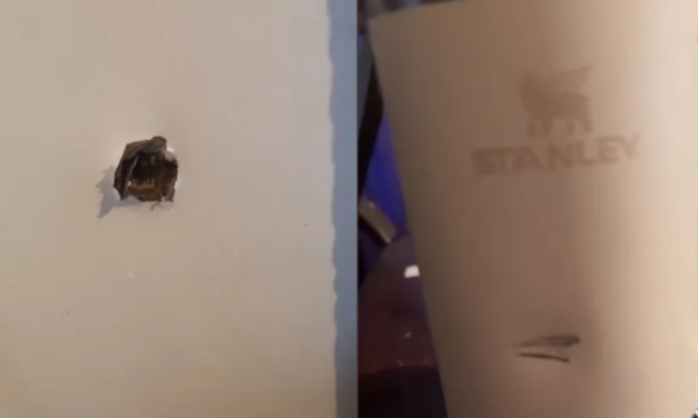 MUJER AFIRMA QUE SU TERMO STANLEY LE SALVÓ LA VIDA AL PROTEGERLA DE UN DISPARO