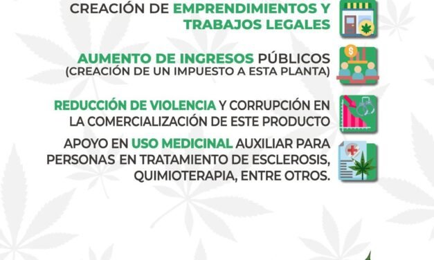 PROPONE ARMANDO SAMANIEGO DEBATE SOBRE LEGALIZACIÓN DE MARIHUANA