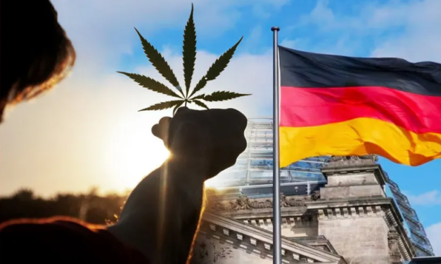 ALEMANIA APRUEBA LA LEGALIZACIÓN DEL CANNABIS PARA USO RECREATIVO, GENERANDO CONTROVERSIAS