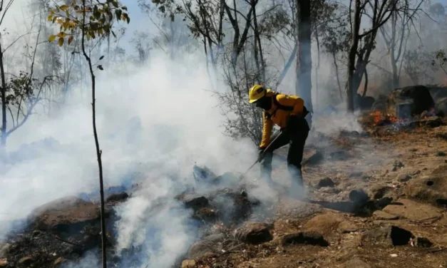 GRANDES ÁREAS DE BOSQUE EN EL ESTADO DE MÉXICO CONSUMIDAS POR INCENDIOS