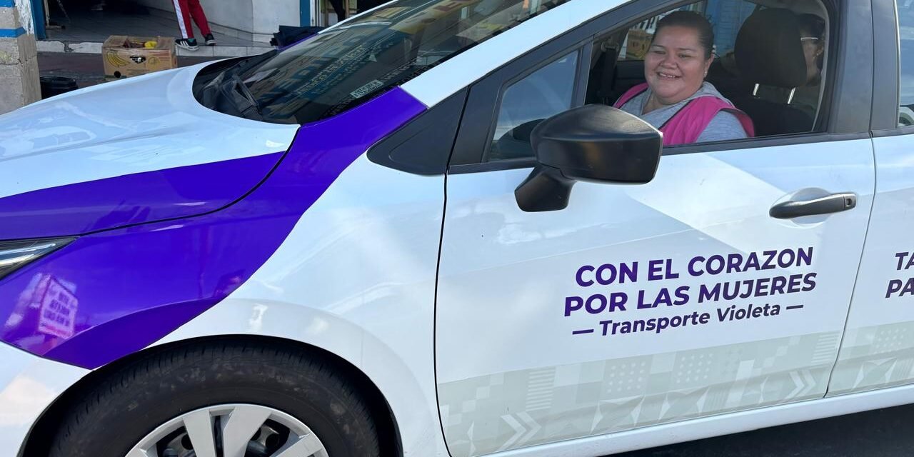 BUSCARÁ IMOS UBICAR UN SEGUNDO SITIO DE TAXI VIOLETA SEGURO, EN “ZONA DE ANTROS»