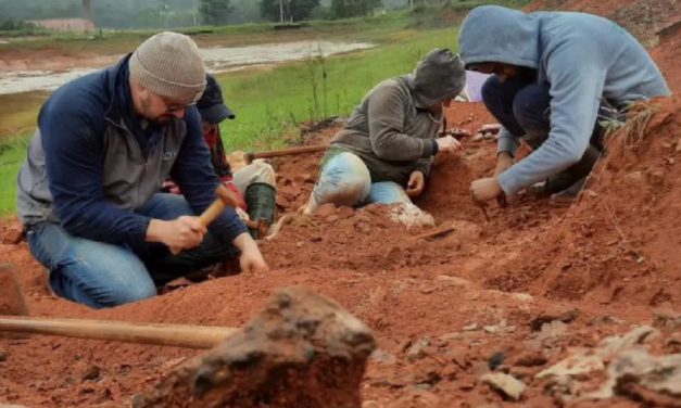 DESCUBREN FÓSIL DE DINOSAURIO DE 230 MILLONES DE AÑOS EN BRASIL TRAS INUNDACIONES