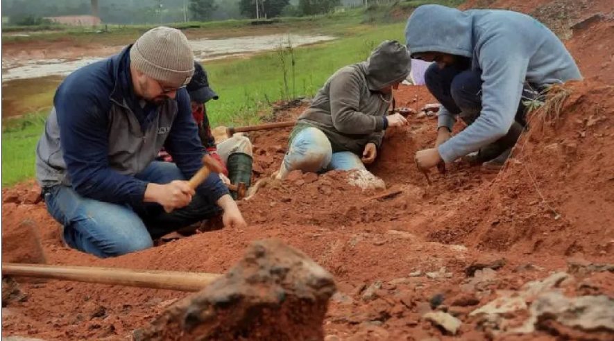 DESCUBREN FÓSIL DE DINOSAURIO DE 230 MILLONES DE AÑOS EN BRASIL TRAS INUNDACIONES