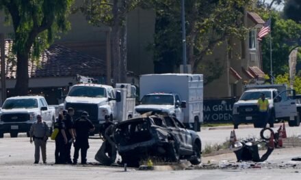 PERSECUCIÓN TERMINA EN TRAGEDIA: MUEREN UN POLICÍA Y UN CONDUCTOR EN SAN DIEGO, ¡DETALLES DEL DEVASTADOR ACCIDENTE!