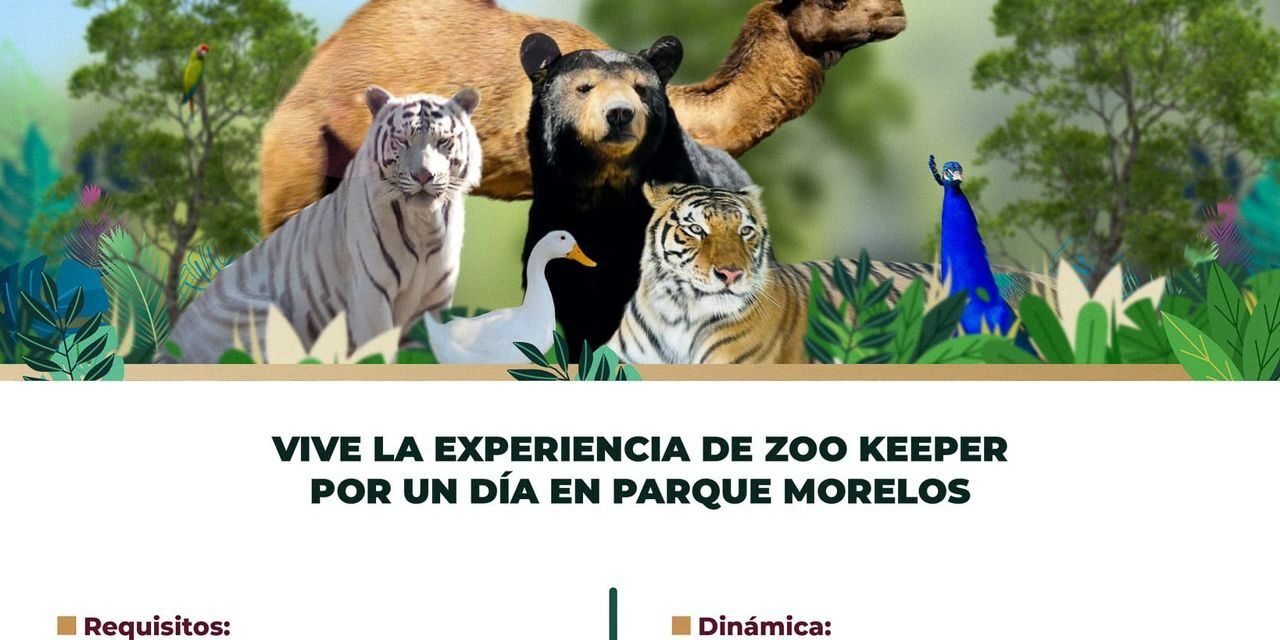 LANZA SIMPATT CONVOCATORIA PARA SER CUIDADOR DE ANIMALES POR UN DÍA