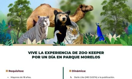 LANZA SIMPATT CONVOCATORIA PARA SER CUIDADOR DE ANIMALES POR UN DÍA