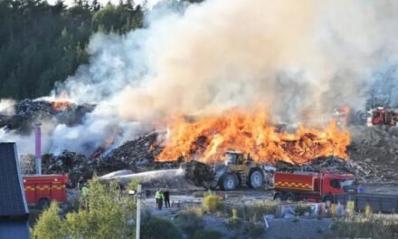 ¡DESASTRE ECOLÓGICO! LA «REINA DE LA BASURA» ENFRENTA JUICIO POR EL MAYOR CRIMEN AMBIENTAL EN SUECIA