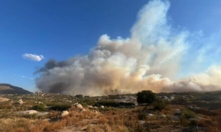 BOMBEROS DE TIJUANA BRINDAN APOYO EN INCENDIO FORESTAL EN TECATE, B. C.