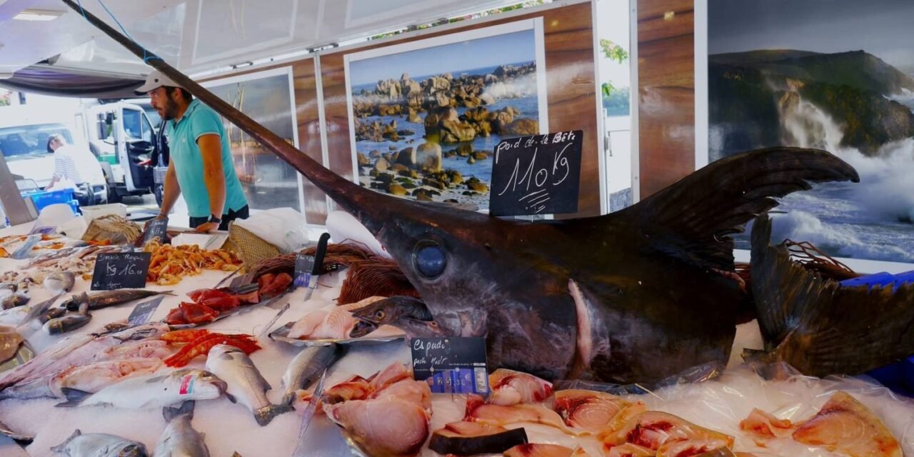 PESCADO CONTAMINADO: RETIRAN DEL MERCADO PRODUCTO POR ALTOS NIVELES DE MERCURIO