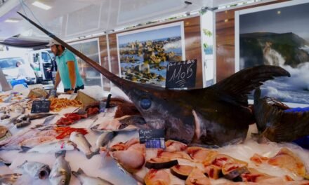 PESCADO CONTAMINADO: RETIRAN DEL MERCADO PRODUCTO POR ALTOS NIVELES DE MERCURIO