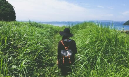 ¡EL POLÉMICO PLAN DE JAPÓN PARA CASAR A MUJERES SOLTERAS Y SALVAR EL CAMPO!