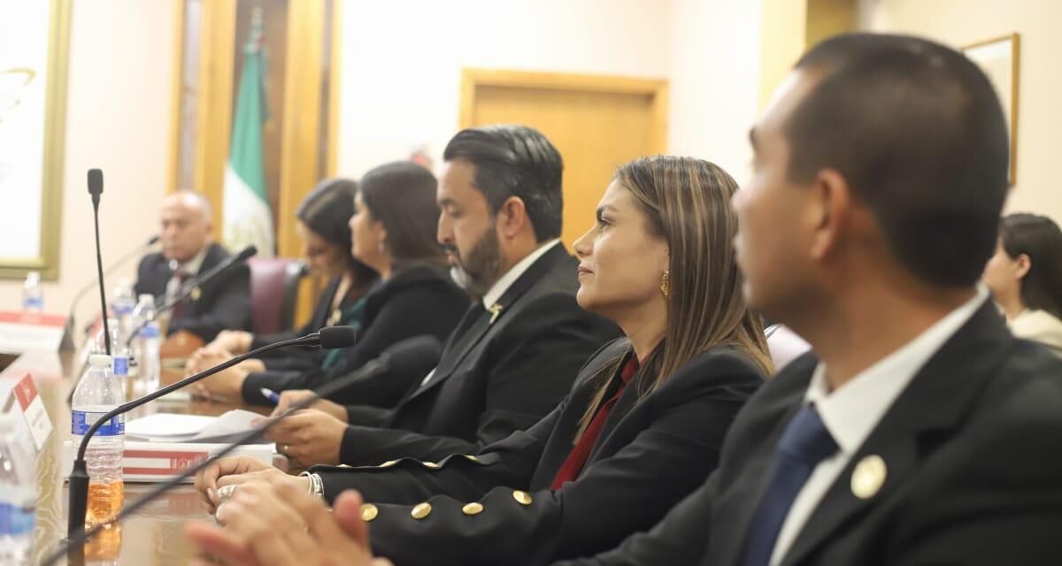 APRUEBA CABILDO DE ROSARITO NOMBRAMIENTOS Y COMISIONES EDILICIAS