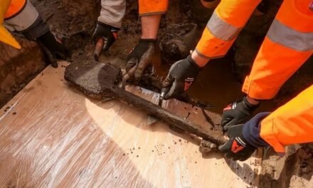 HALLAN EN GRAN BRETAÑA UNA DE LAS HERRAMIENTAS DE MADERA MÁS ANTIGUAS Y COMPLETA JAMÁS ENCONTRADAS