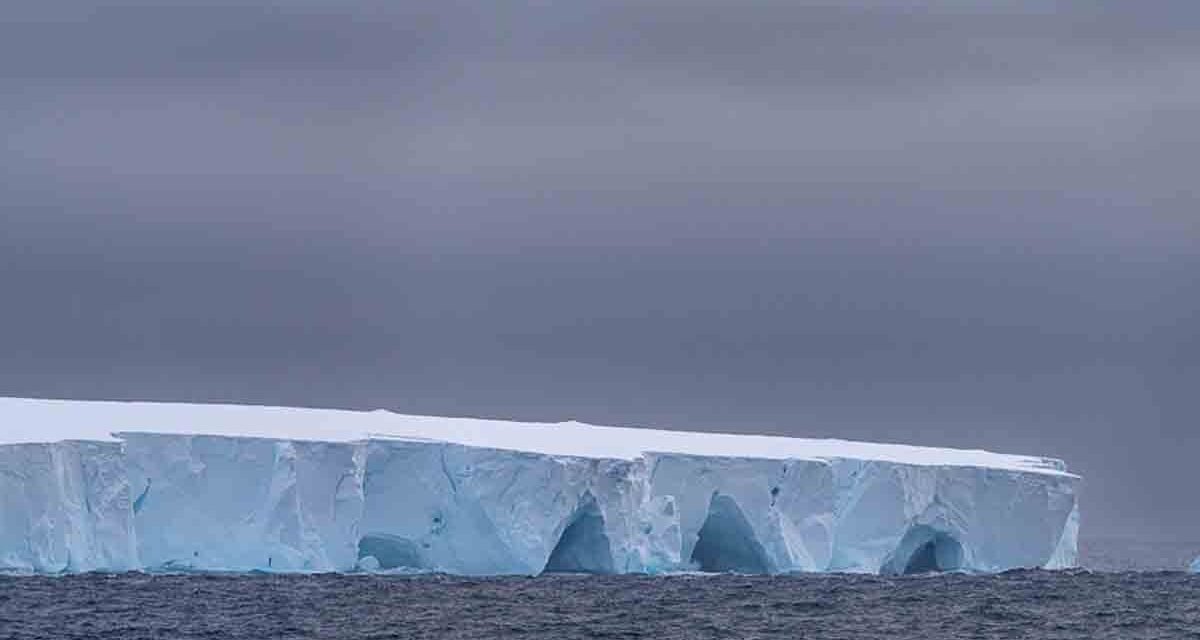 EL ICEBERG MÁS GRANDE DEL MUNDO SE MUEVE: ¿UN DESASTRE CLIMÁTICO O UN BENEFICIO ECOLÓGICO?