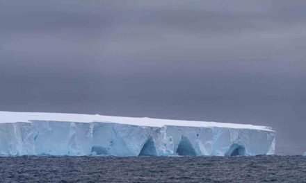 EL ICEBERG MÁS GRANDE DEL MUNDO SE MUEVE: ¿UN DESASTRE CLIMÁTICO O UN BENEFICIO ECOLÓGICO?