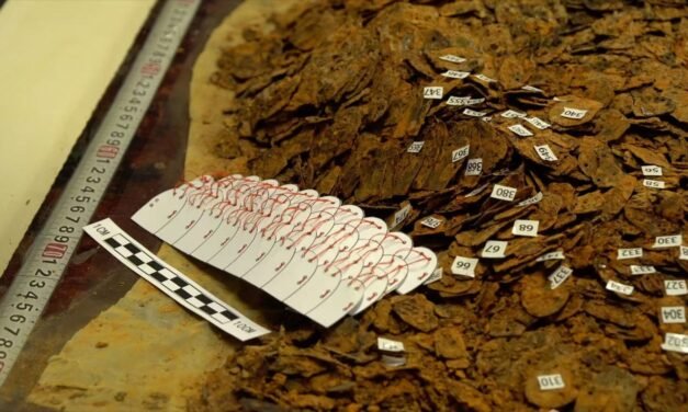 ARQUEÓLOGOS HALLAN ARMADURA DE ESCAMAS MULTICOMPOSICIÓN EN LA TUMBA DE UN DERROCADO EMPERADOR