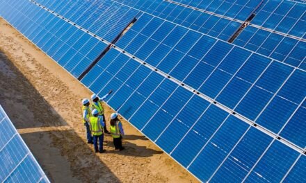 LA MAYOR PLANTA SOLAR DEL MUNDO YA ES UNA REALIDAD