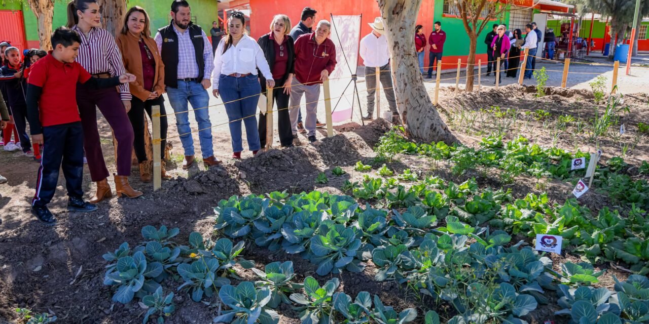 EN BC MÁS DE 9 MIL 300 PERSONAS SE HAN BENEFICIADO CON LOS HUERTOS ESCOLARES Y COMUNITARIOS: GOBERNADORA MARINA DEL PILAR