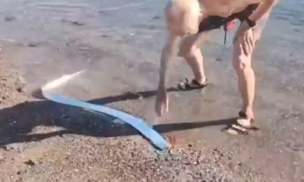 «EL PEZ DEL FIN DEL MUNDO» OTRO PEZ DE LAS PROFUNDIDADES APARECE EN PLAYA DE BAJA CALIFORNIA SUR