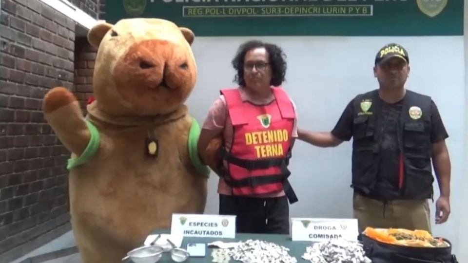 POLICÍA DISFRAZADO DE CAPIBARA ATRAPA SOSPECHOSO; CREYÓ QUE RECIBÍA UN REGALO DE SAN VALENTÍN