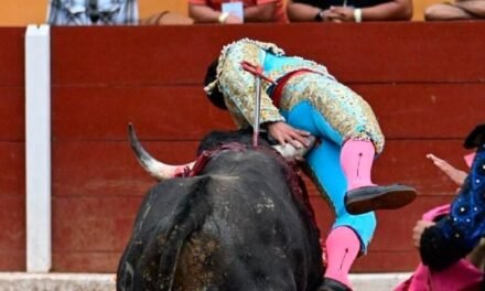 ¡MOMENTOS DE TENSIÓN! TORERO MEXICANO SUFRE TERRIBLE CORNADA EN PLENA CORRIDA