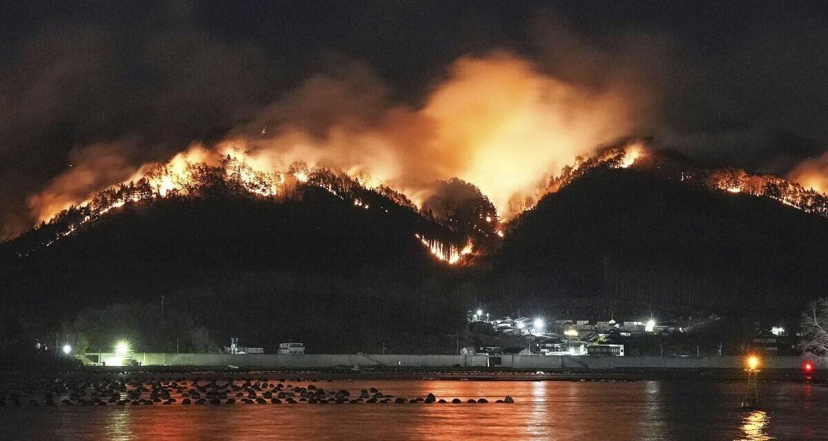 JAPÓN ENFRENTA SU PEOR INCENDIO FORESTAL EN 30 AÑOS: MÁS DE 1,700 BOMBEROS COMBATEN EL FUEGO 