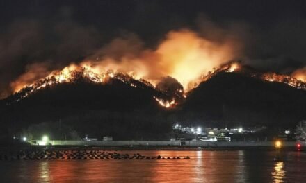 JAPÓN ENFRENTA SU PEOR INCENDIO FORESTAL EN 30 AÑOS: MÁS DE 1,700 BOMBEROS COMBATEN EL FUEGO 